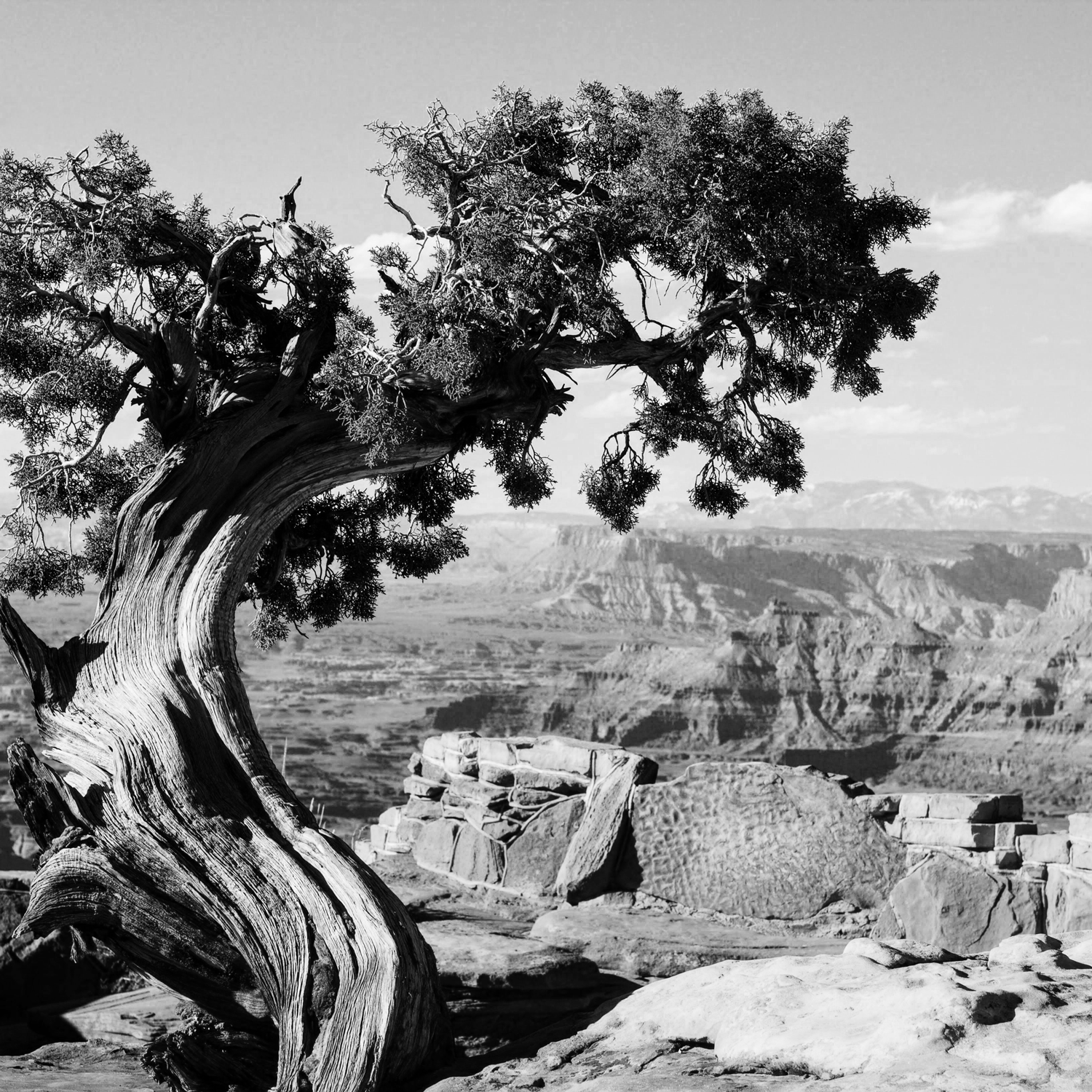 Photo originale par Jen Healy sur Pexels