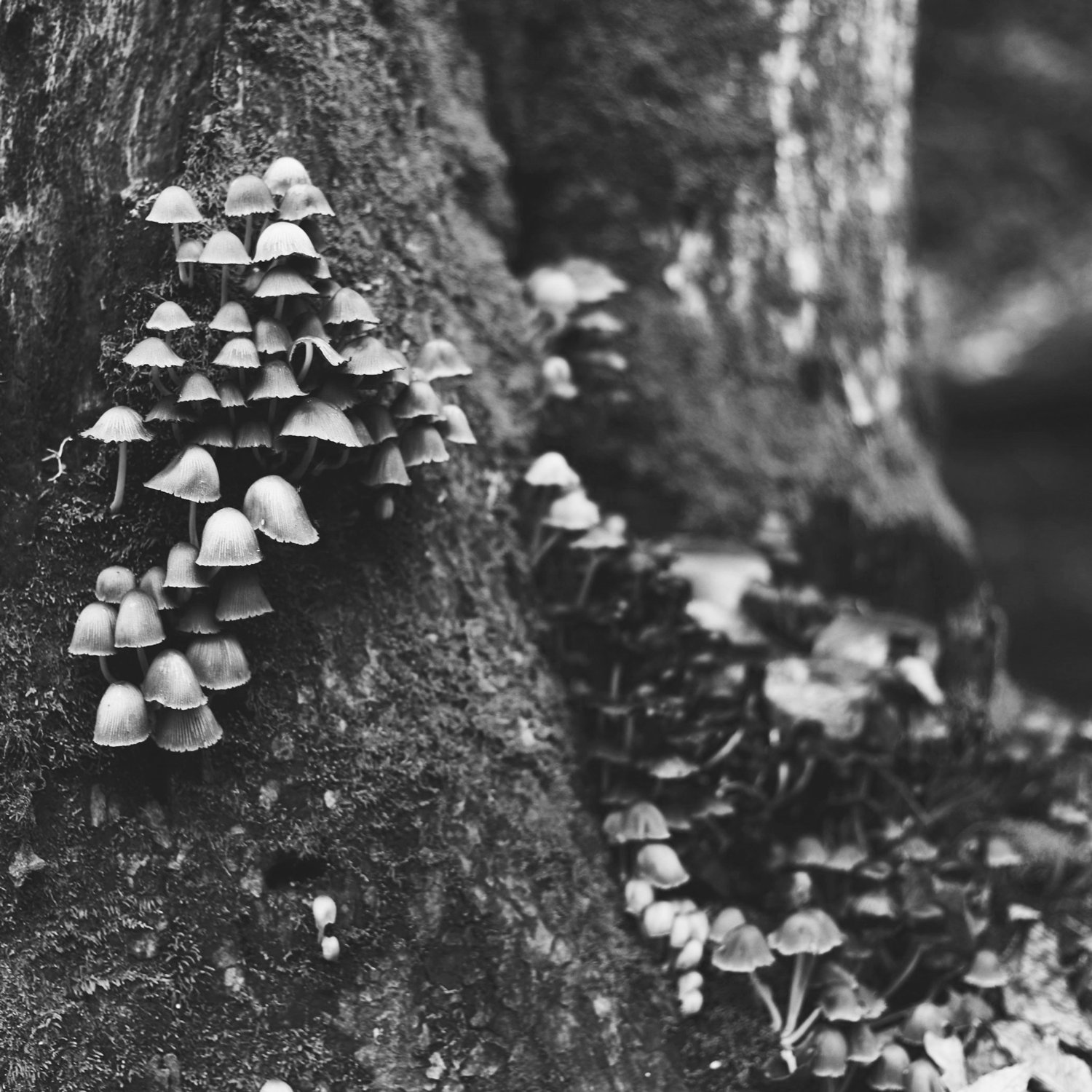 Photo originale par Amy Humphries sur Unsplash